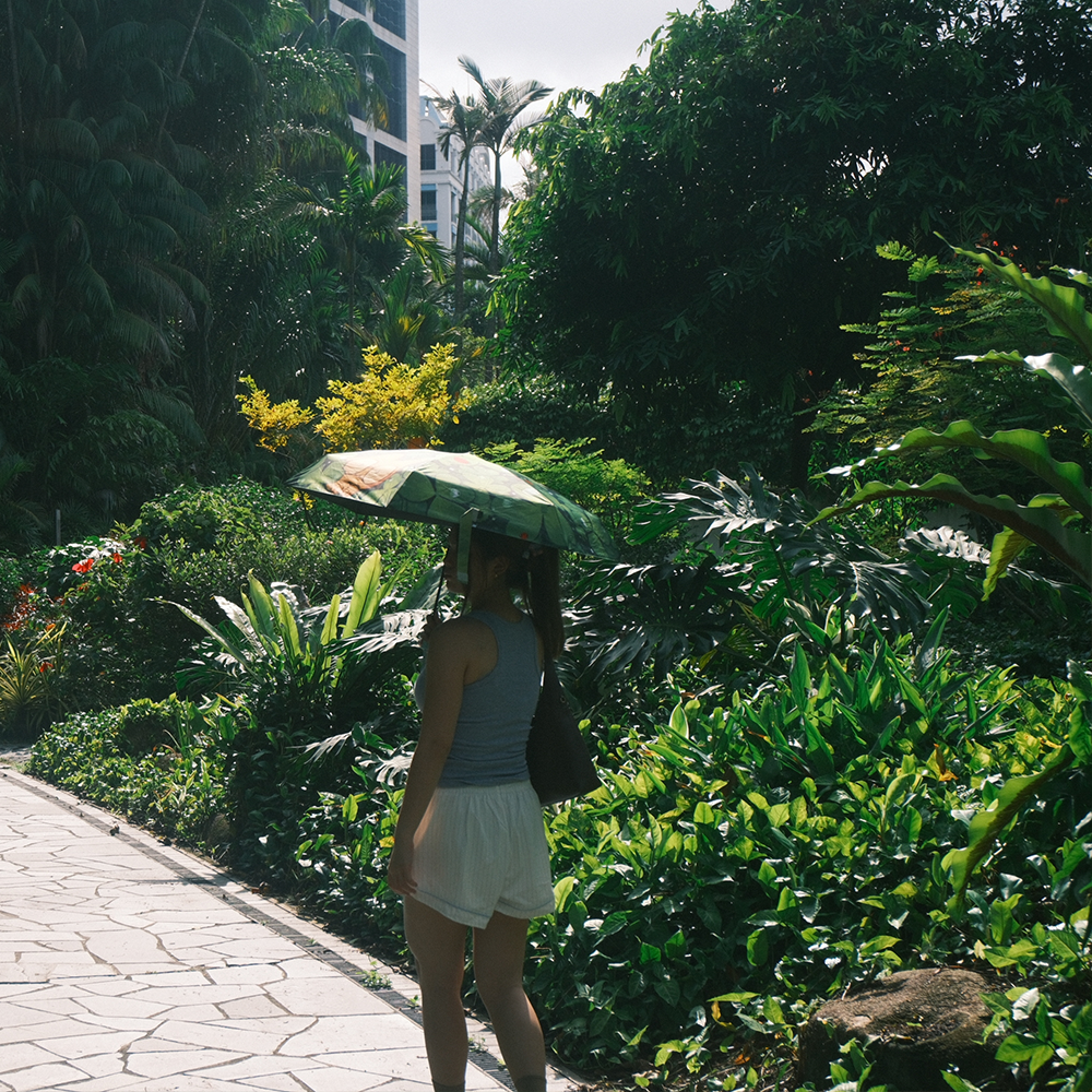 Lucky Clover - Mini Umbrella